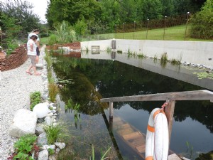 Teichbau, Sanierung und Wartung